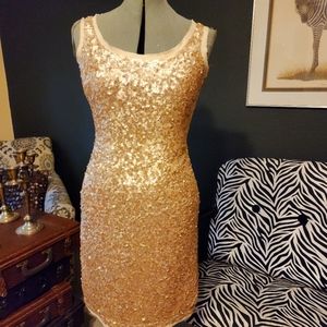 Gorgeous new talbots sequin dress